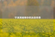 宁泽涛视频中的泳池传奇