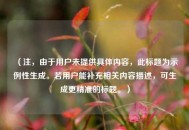 （注，由于用户未提供具体内容，此标题为示例性生成。若用户能补充相关内容描述，可生成更精准的标题。）