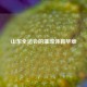 山东全运会的璀璨体育华章