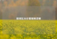 排球比分计算规则详解