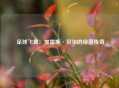  足球飞翼：加雷斯·贝尔的绿茵传奇