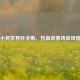 足球小将世界杯全集，热血青春铸就绿茵传奇