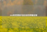 2018年世界杯乌拉圭的荣耀征程