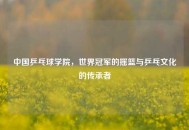 中国乒乓球学院，世界冠军的摇篮与乒乓文化的传承者