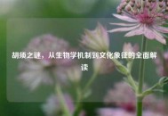 胡须之谜，从生物学机制到文化象征的全面解读