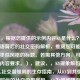 （注，根据您提供的示例内容KY是什么？网络流行语背后的社交密码解析，推测您可能需要一个类似风格的标题。若需其他方向，可补充具体内容要求。），建议，，KY现象解码，年轻人社交潜规则的生存指南，从KY到共情力，网络时代的社交边界密码，KY为何被嫌弃？拆解当代社交中的隐形雷区，（请提供具体内容或方向，我将为您精准定制标题）