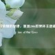 激情与荣耀的旋律，重温2006世界杯主题曲The Time of Our Lives