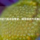 欧冠八强尘埃落定，抽签仪式万众瞩目