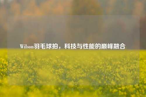 Wilson羽毛球拍，科技与性能的巅峰融合
