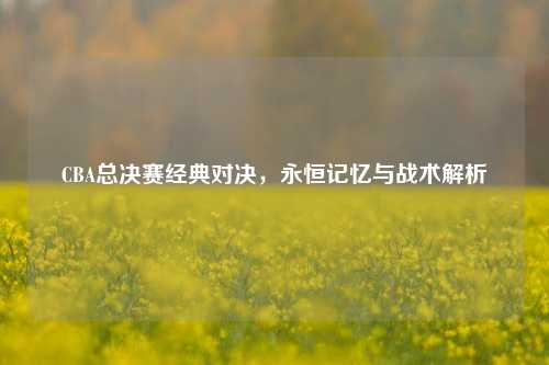 CBA总决赛经典对决,永恒记忆与战术解析