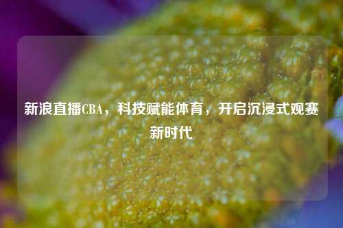 新浪直播CBA，科技赋能体育，开启沉浸式观赛新时代