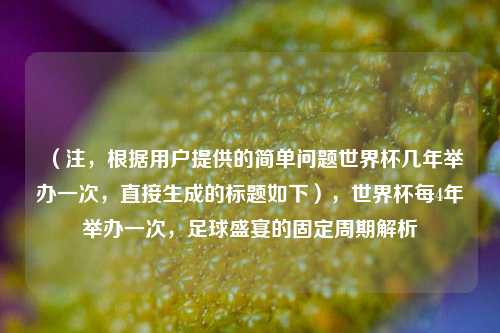 （注，根据用户提供的简单问题世界杯几年举办一次，直接生成的标题如下），世界杯每4年举办一次，足球盛宴的固定周期解析