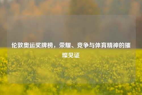 伦敦奥运奖牌榜,荣耀、竞争与体育精神的璀璨见证