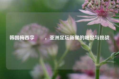 韩国梅西李昇祐,亚洲足坛新星的崛起与挑战