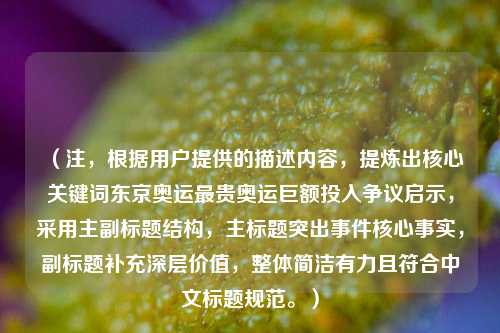 （注，根据用户提供的描述内容，提炼出核心关键词东京奥运最贵奥运巨额投入争议启示，采用主副标题结构，主标题突出事件核心事实，副标题补充深层价值，整体简洁有力且符合中文标题规范。）