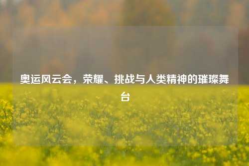 奥运风云会,荣耀、挑战与人类精神的璀璨舞台