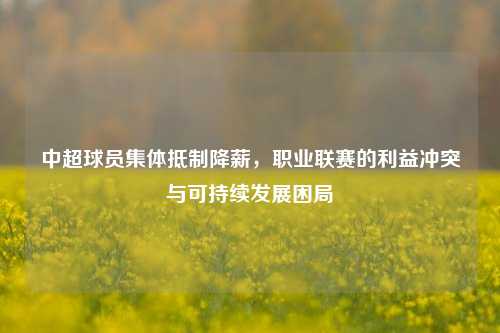 中超球员集体抵制降薪，职业联赛的利益冲突与可持续发展困局