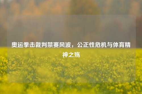 奥运拳击裁判禁赛风波,公正性危机与体育精神之殇