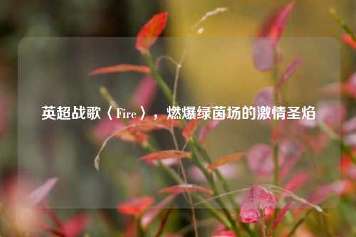 英超战歌〈Fire〉，燃爆绿茵场的激情圣焰