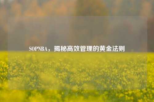SOPNBA，揭秘高效管理的黄金法则