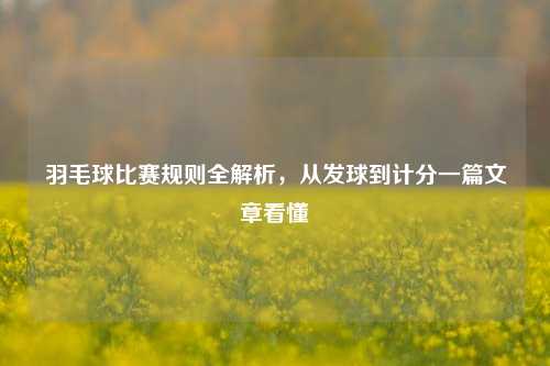 羽毛球比赛规则全解析，从发球到计分一篇文章看懂