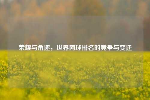 荣耀与角逐,世界网球排名的竞争与变迁