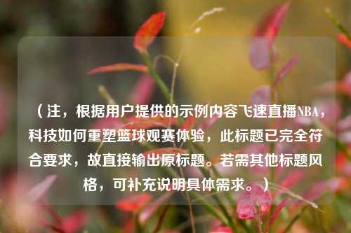 (注,根据用户提供的示例内容飞速直播NBA,科技如何重塑篮球观赛体验,此标题已完全符合要求,故直接输出原标题。若需其他标题风格,可补充说明具体需求。)