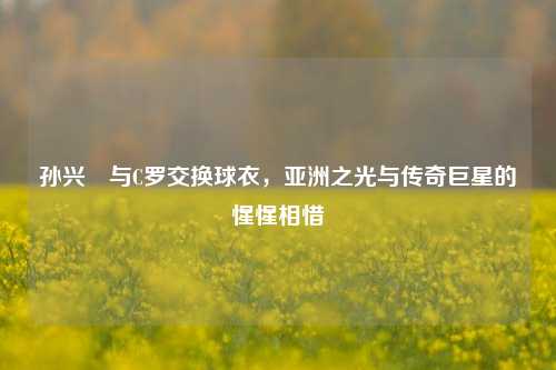 孙兴慜与C罗交换球衣,亚洲之光与传奇巨星的惺惺相惜