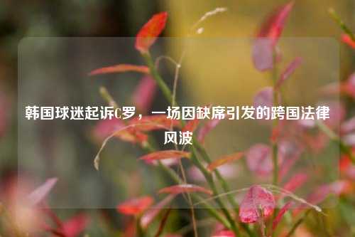 韩国球迷起诉C罗，一场因缺席引发的跨国法律风波