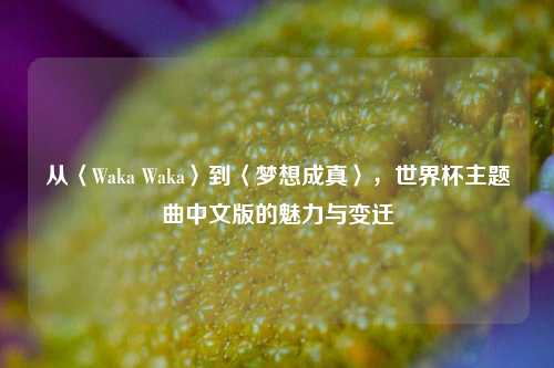 从〈Waka Waka〉到〈梦想成真〉，世界杯主题曲中文版的魅力与变迁