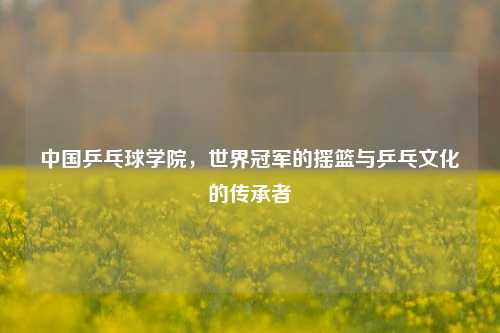 中国乒乓球学院，世界冠军的摇篮与乒乓文化的传承者