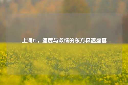 上海F1，速度与激情的东方极速盛宴
