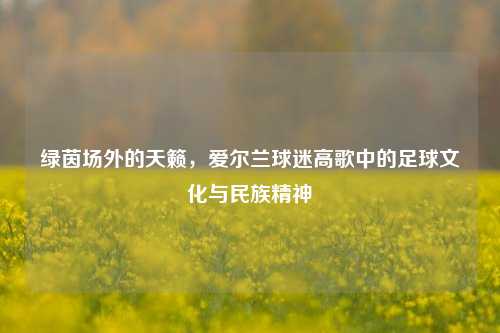 绿茵场外的天籁，爱尔兰球迷高歌中的足球文化与民族精神