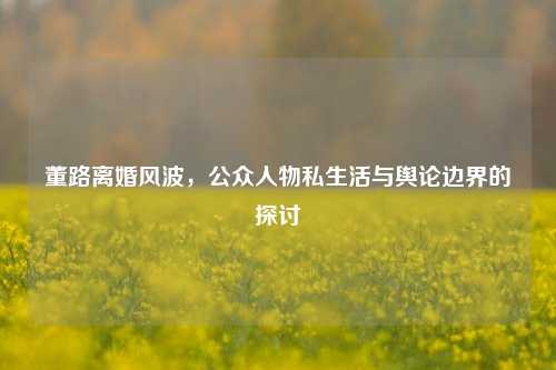 董路离婚风波，公众人物私生活与舆论边界的探讨