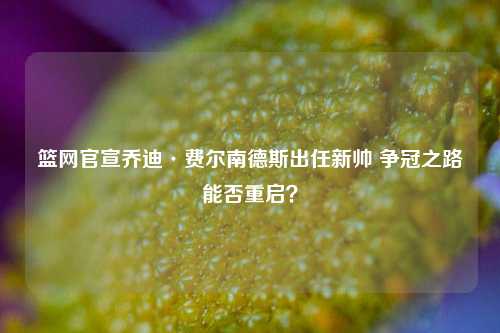 篮网官宣乔迪·费尔南德斯出任新帅 争冠之路能否重启？