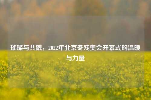 璀璨与共融,2022年北京冬残奥会开幕式的温暖与力量