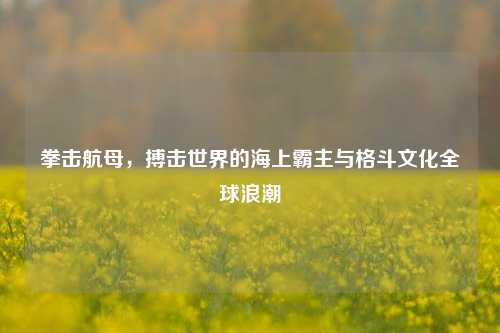 拳击航母,搏击世界的海上霸主与格斗文化全球浪潮