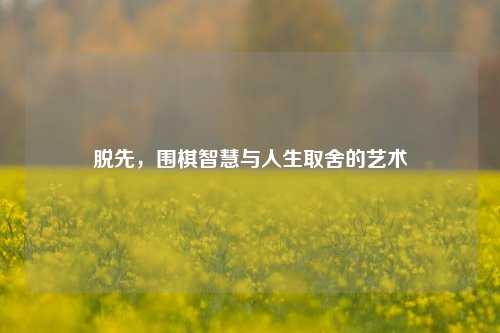 脱先,围棋智慧与人生取舍的艺术