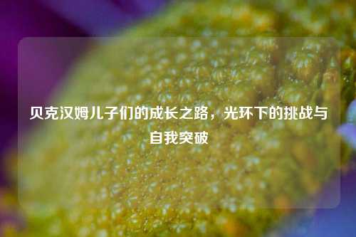 贝克汉姆儿子们的成长之路,光环下的挑战与自我突破