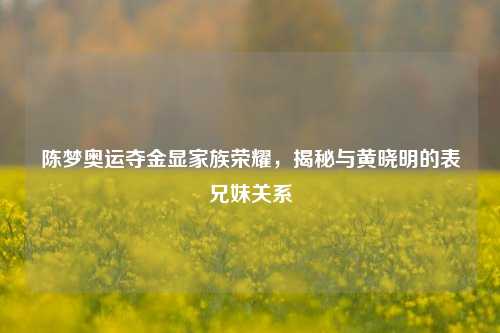 陈梦奥运夺金显家族荣耀,揭秘与黄晓明的表兄妹关系