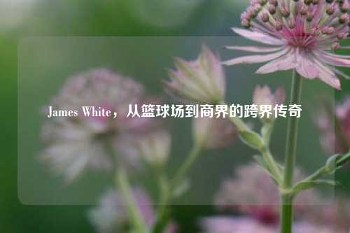 James White，从篮球场到商界的跨界传奇