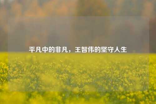 平凡中的非凡，王智伟的坚守人生