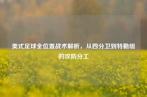 美式足球全位置战术解析,从四分卫到特勤组的攻防分工