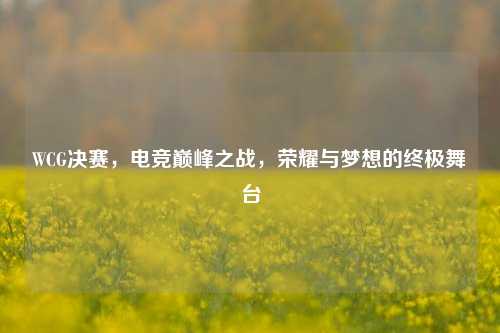 WCG决赛,电竞巅峰之战,荣耀与梦想的终极舞台
