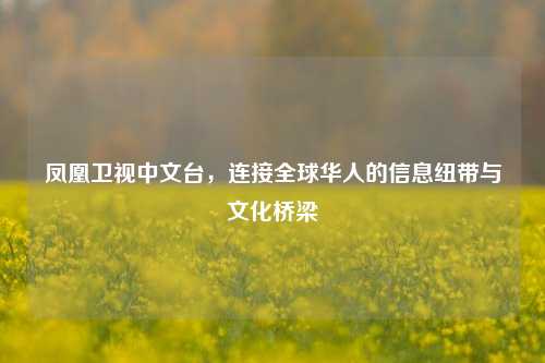 凤凰卫视中文台，连接全球华人的信息纽带与文化桥梁