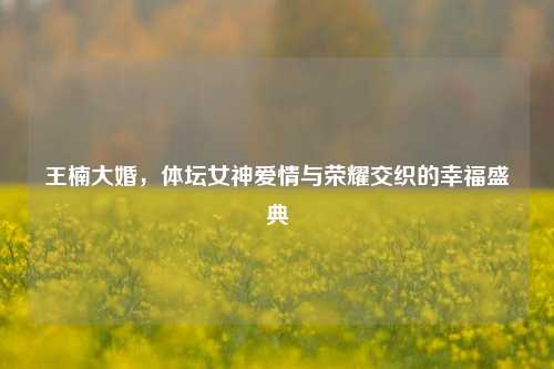 王楠大婚,体坛女神爱情与荣耀交织的幸福盛典