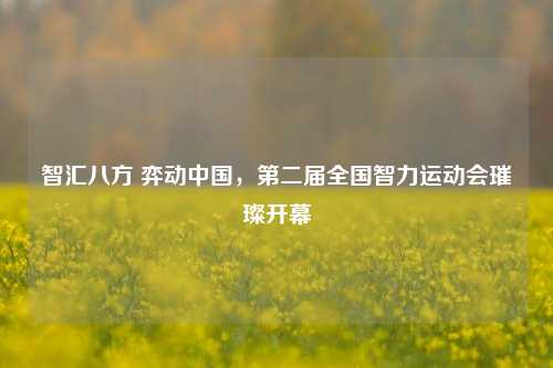 智汇八方 弈动中国,第二届全国智力运动会璀璨开幕