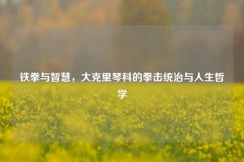 铁拳与智慧,大克里琴科的拳击统治与人生哲学