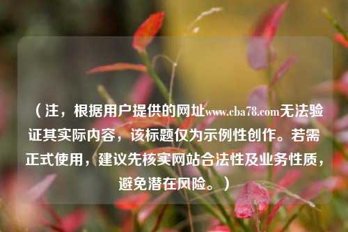 (注,根据用户提供的网址www.cba78.com无法验证其实际内容,该标题仅为示例性创作。若需正式使用,建议先核实网站合法性及业务性质,避免潜在风险。)