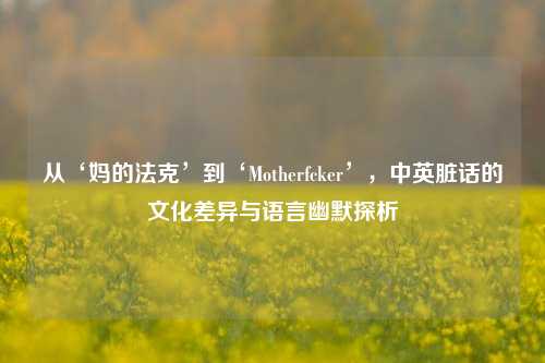 从‘妈的法克’到‘Motherfcker’，中英脏话的文化差异与语言幽默探析